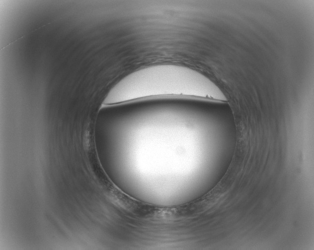 X0000074940080200609010956