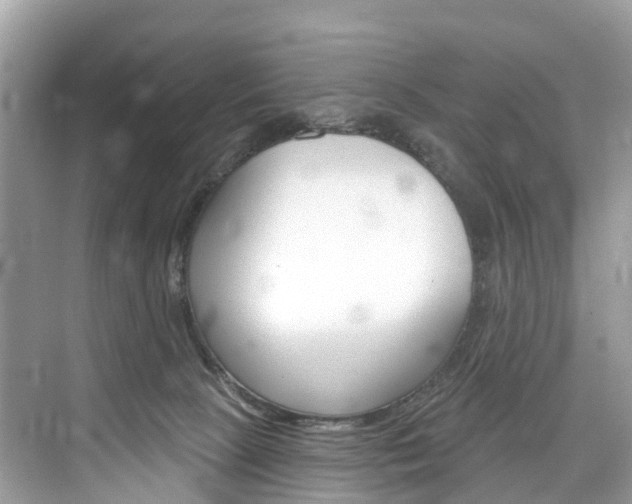 X0000074940081200609010956