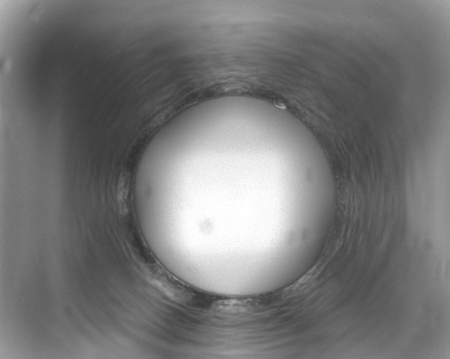 X0000074940082200609010956