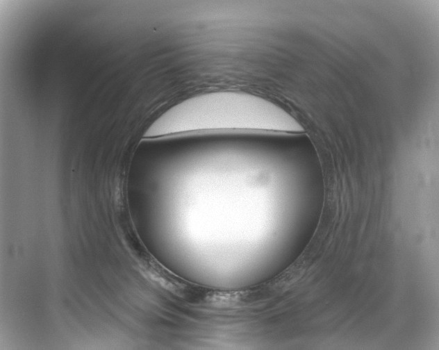 X0000074940084200609010956