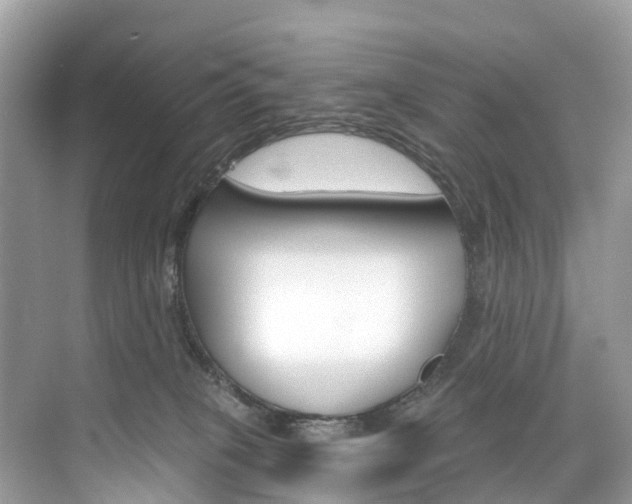 X0000074940085200609010956