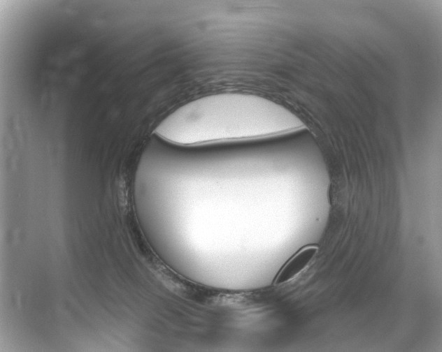 X0000074940086200609010956