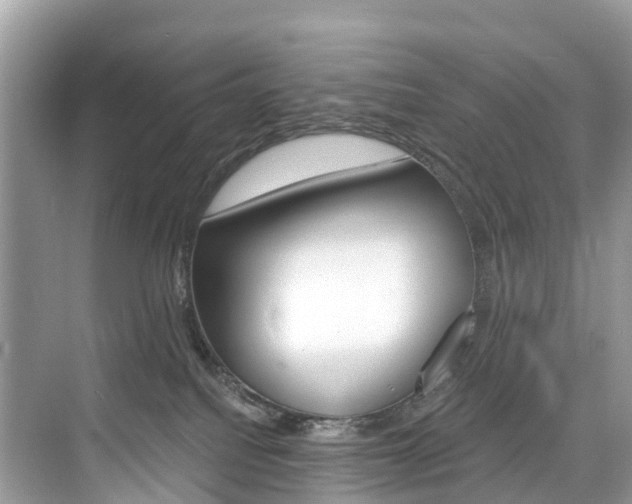 X0000074940088200609010956