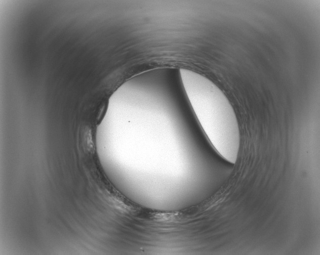 X0000074940089200609010956