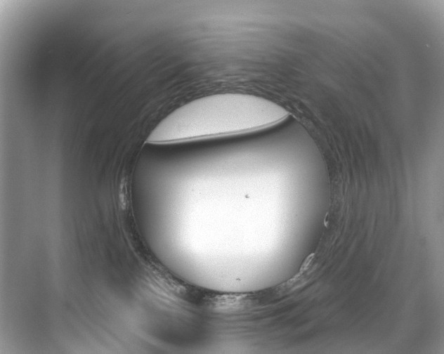 X0000074940090200609010956