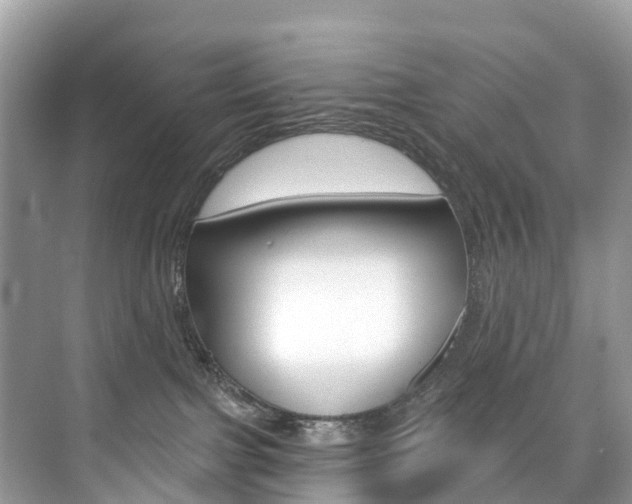 X0000074940091200609010956