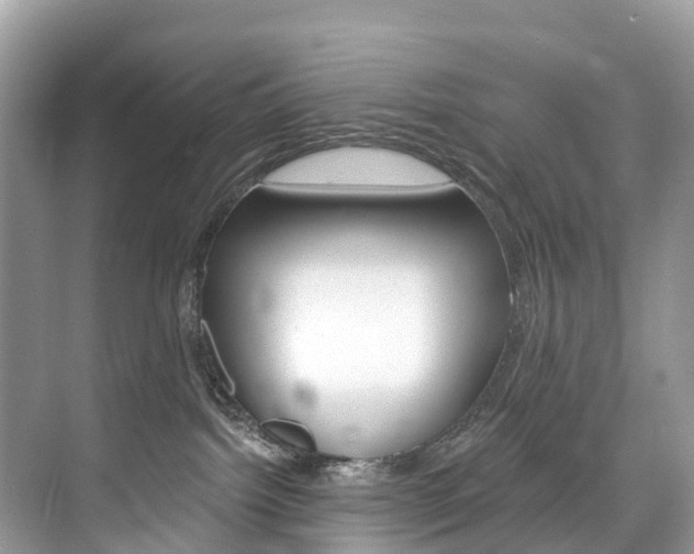 X0000074940092200609010956