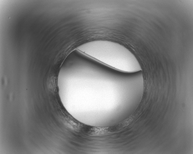 X0000074940093200609010956