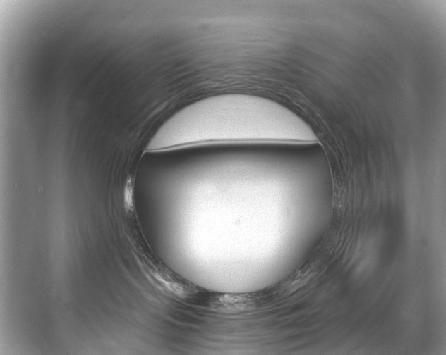 X0000074940095200609010956