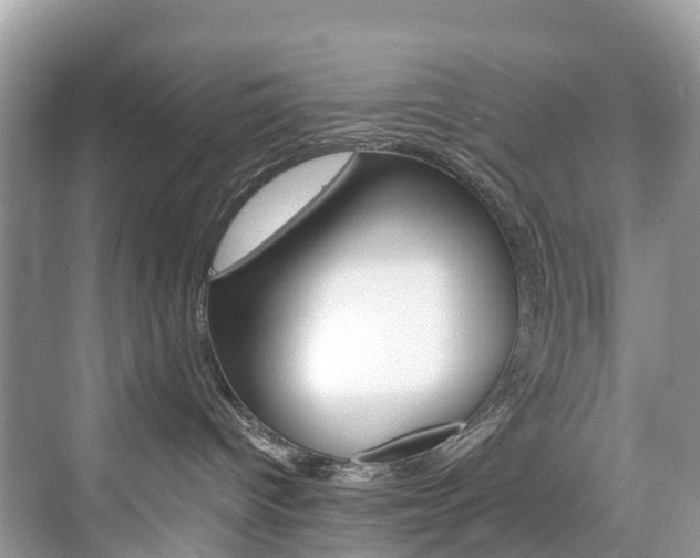 X0000074940096200609010956