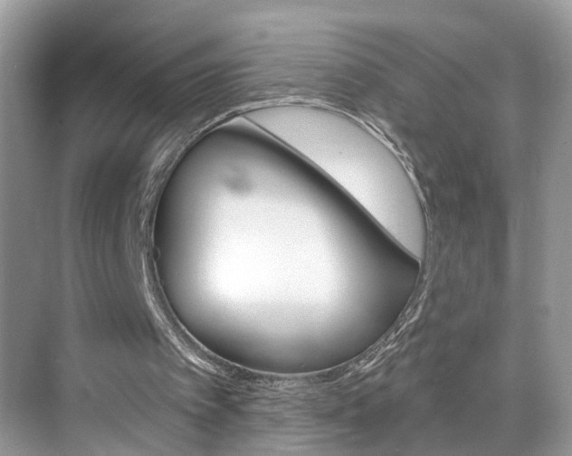 X0000074940097200609010955