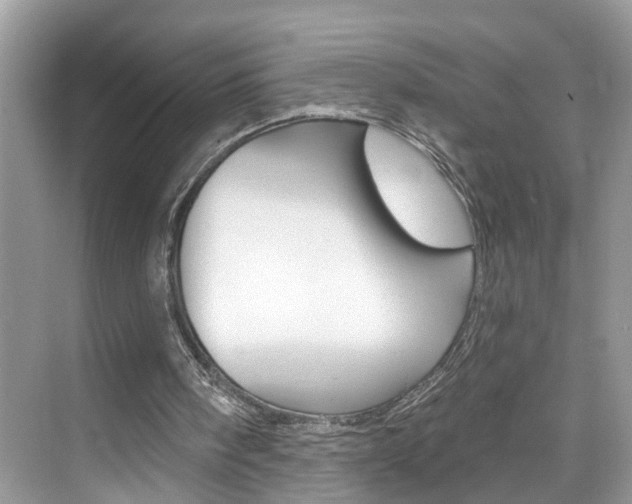 X0000074940098200609010955