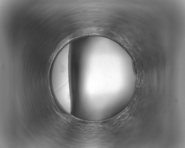 X0000074940099200609010955