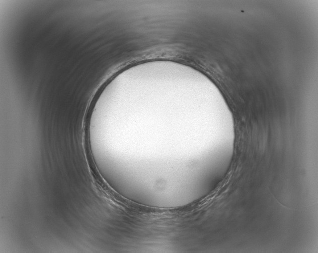 X0000074940100200609010955