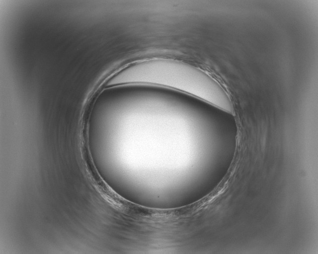 X0000074940101200609010955