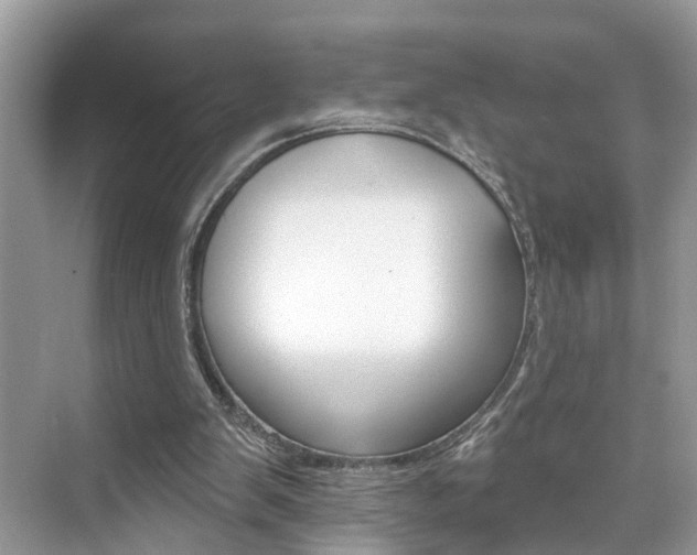 X0000074940103200609010955