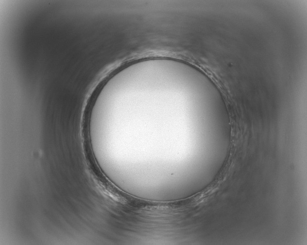 X0000074940104200609010955