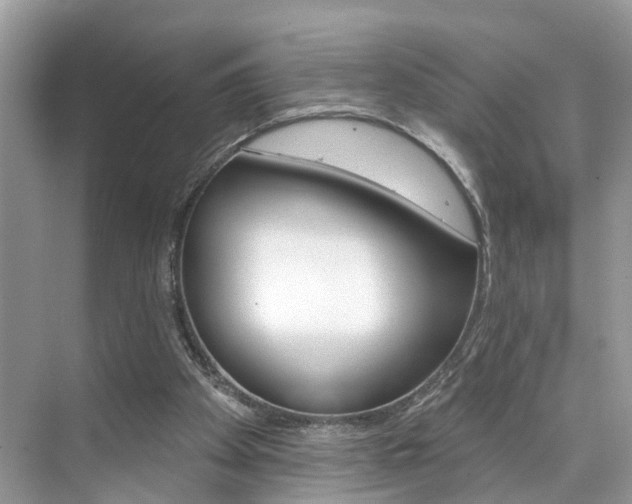 X0000074940105200609010955