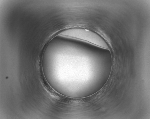 X0000074940107200609010955