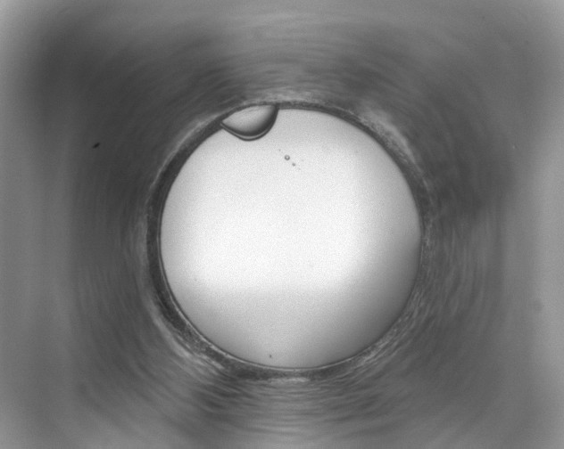 X0000074940108200609010955