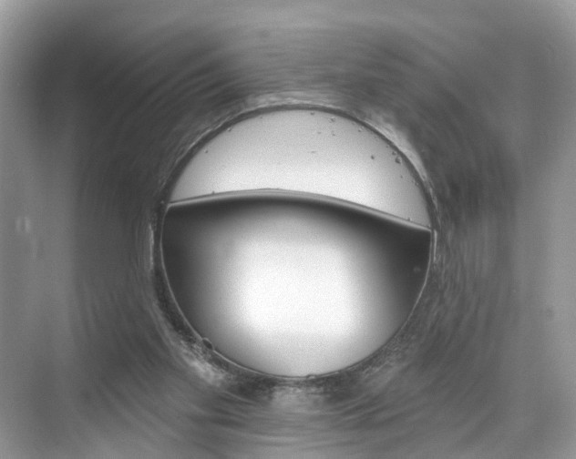 X0000074940109200609010955