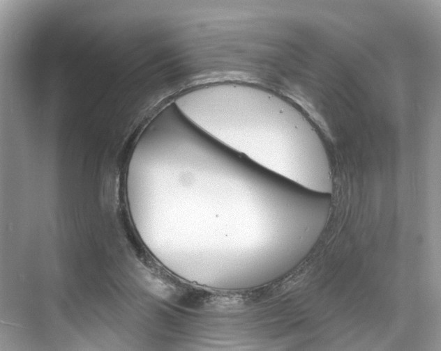 X0000074940110200609010955