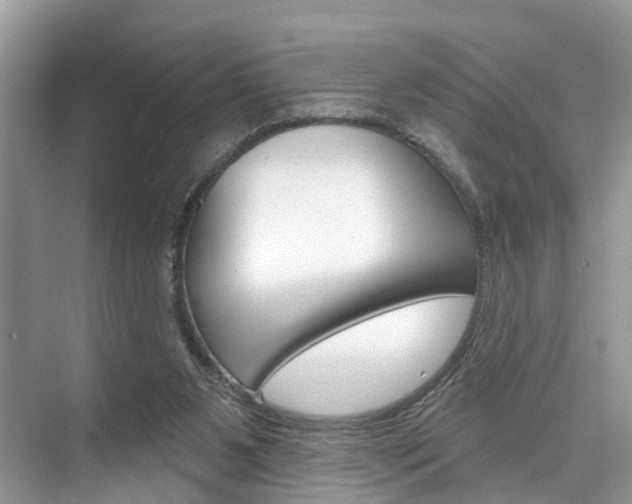 X0000074940111200609010955