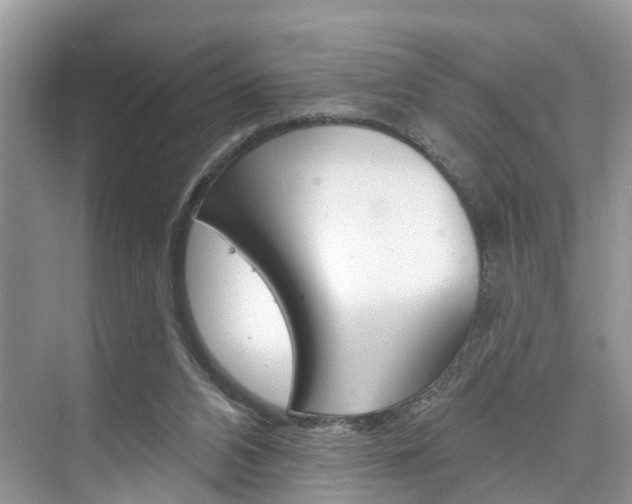 X0000074940112200609010955