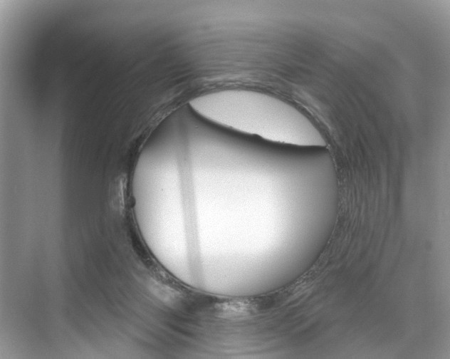 X0000074940118200609010955