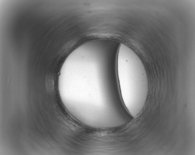 X0000074940120200609010955