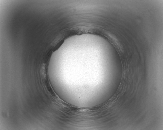 X0000074940121200609010955