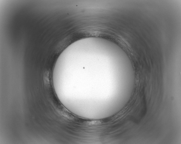 X0000074940122200609010955