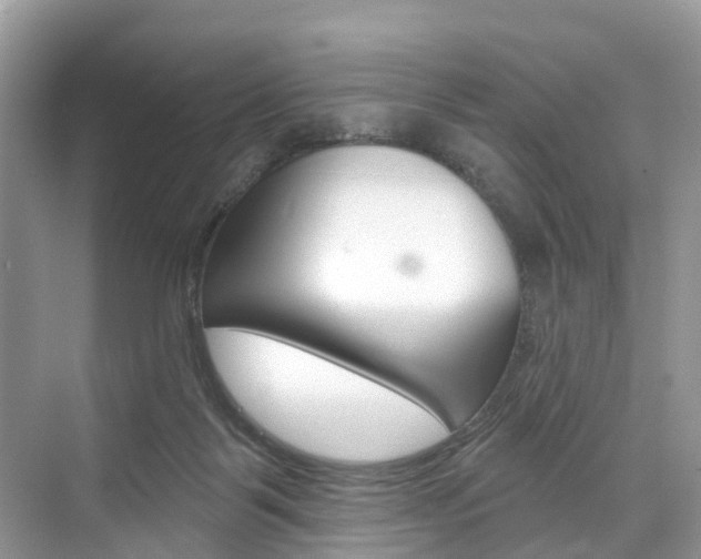 X0000074940123200609010955