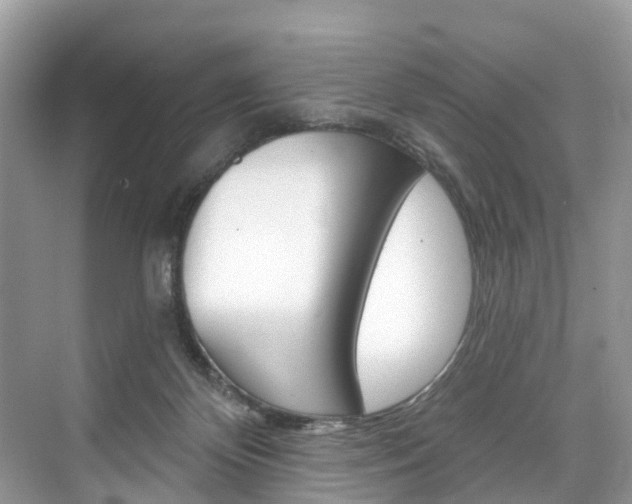 X0000074940124200609010955