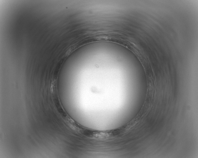 X0000074940125200609010955