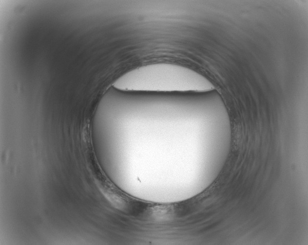 X0000074940126200609010955