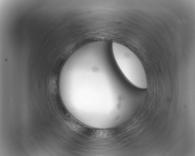 X0000074940127200609010955