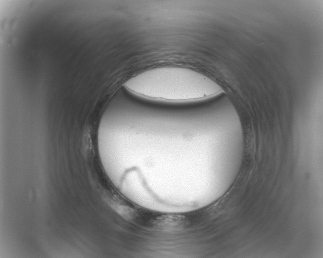 X0000074940128200609010955