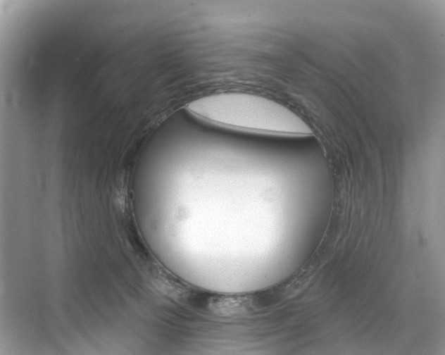 X0000074940129200609010955