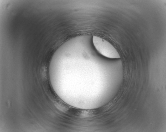 X0000074940130200609010955