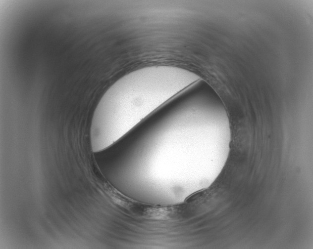 X0000074940131200609010955