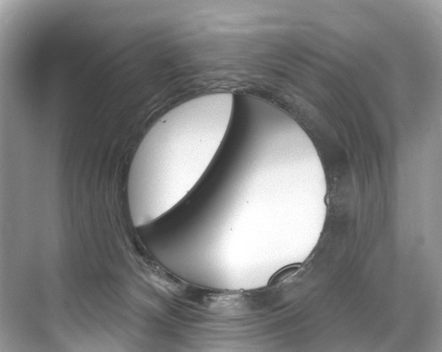 X0000074940132200609010955