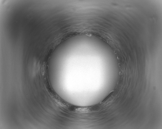 X0000074940133200609010955