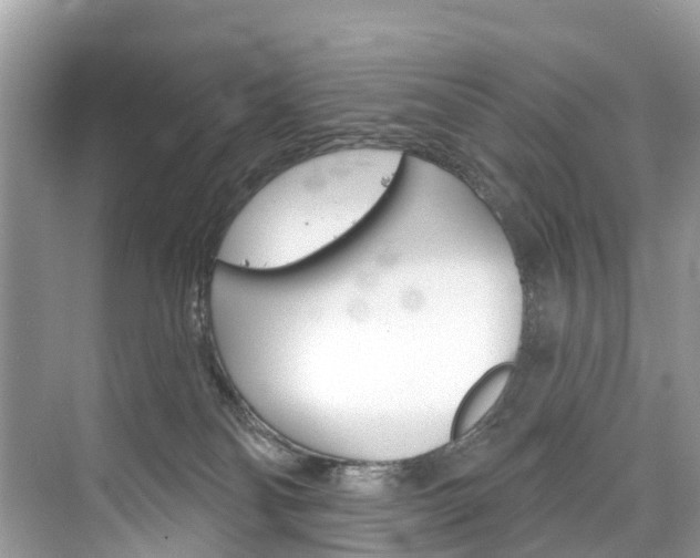 X0000074940134200609010955