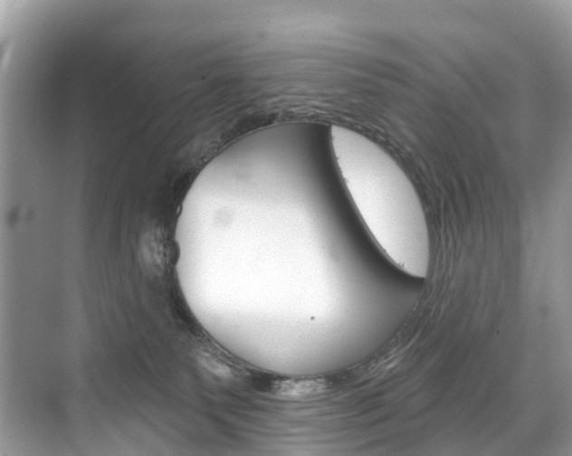 X0000074940135200609010955