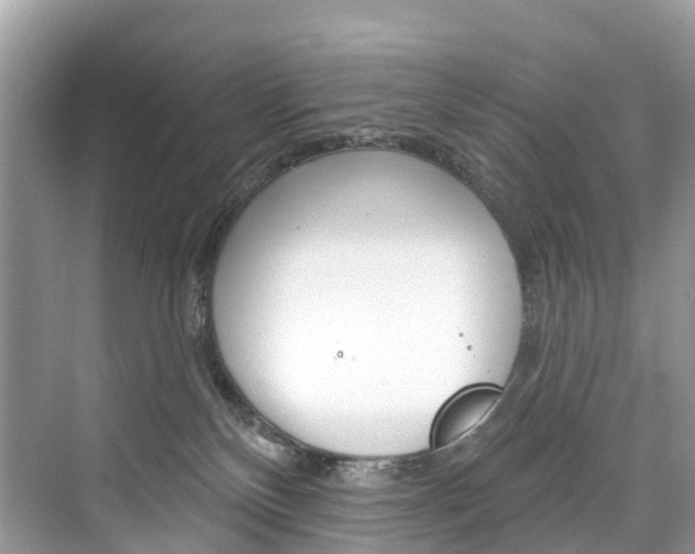 X0000074940136200609010955