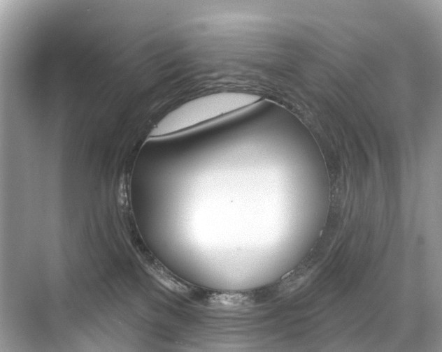 X0000074940137200609010955