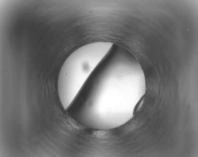 X0000074940139200609010955