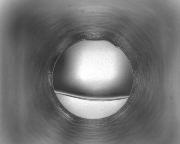 X0000074940141200609010955