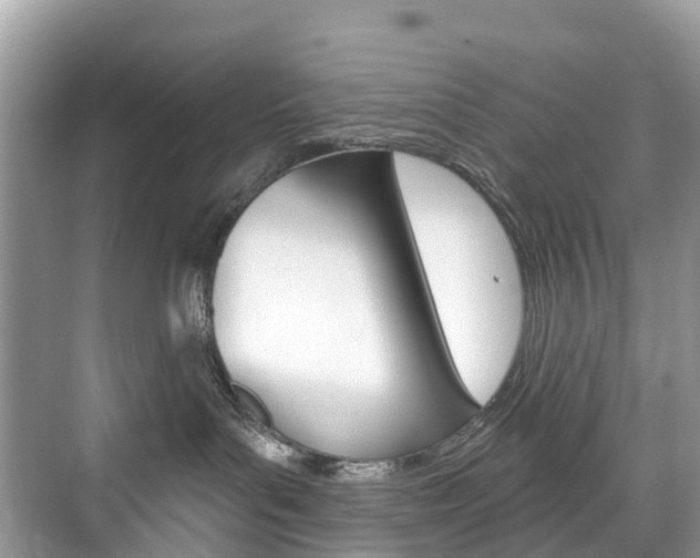 X0000074940143200609010954